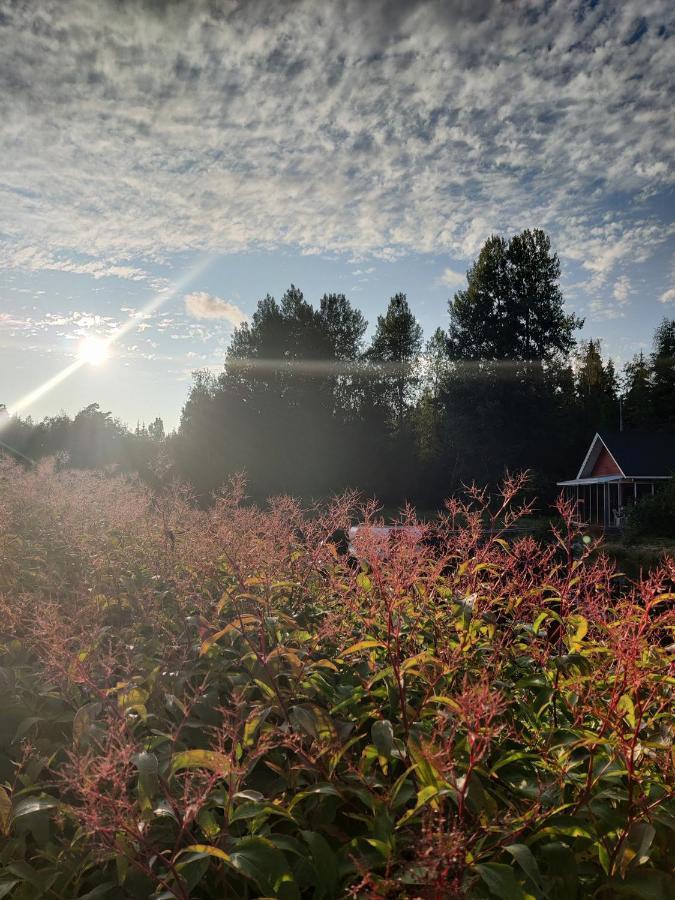 Hannunluhdan Lomamoekit Karijoki Экстерьер фото