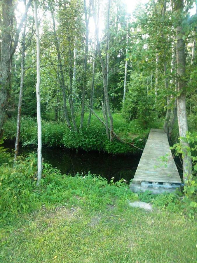 Hannunluhdan Lomamoekit Karijoki Экстерьер фото